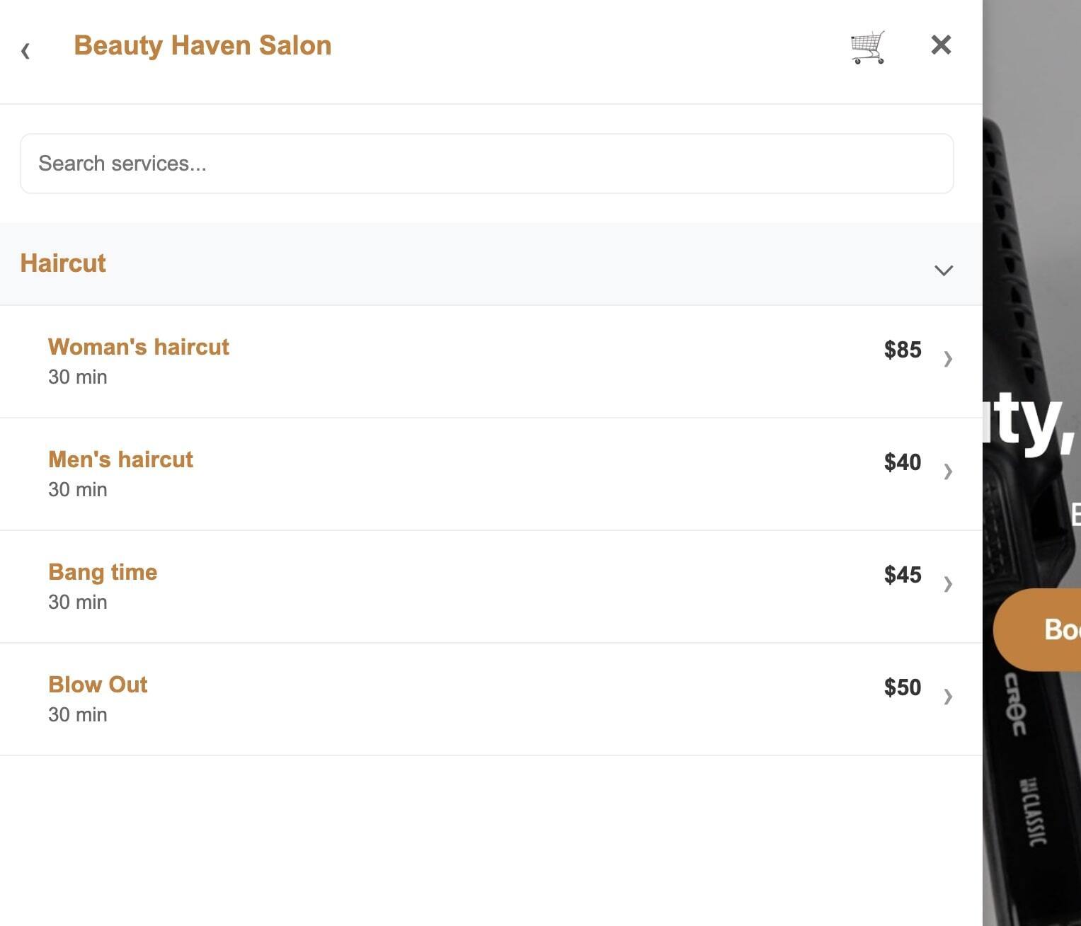 Salon Website Example 2